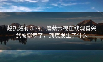 越扒越有东西，蘑菇影视在线观看突然被聊疯了，到底发生了什么