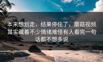本来想划走，结果停住了，蘑菇视频其实藏着不少情绪难怪有人看完一句话都不想多说