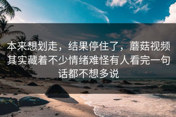 本来想划走，结果停住了，蘑菇视频其实藏着不少情绪难怪有人看完一句话都不想多说