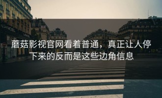 蘑菇影视官网看着普通，真正让人停下来的反而是这些边角信息