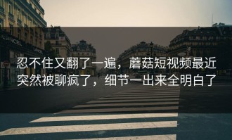忍不住又翻了一遍，蘑菇短视频最近突然被聊疯了，细节一出来全明白了