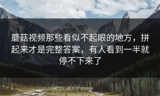 蘑菇视频那些看似不起眼的地方，拼起来才是完整答案，有人看到一半就停不下来了
