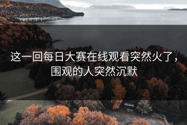 这一回每日大赛在线观看突然火了，围观的人突然沉默