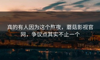 真的有人因为这个熬夜，蘑菇影视官网，争议点其实不止一个