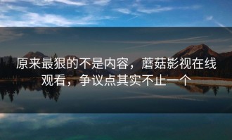 原来最狠的不是内容，蘑菇影视在线观看，争议点其实不止一个