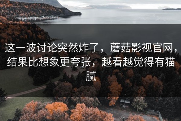 这一波讨论突然炸了，蘑菇影视官网，结果比想象更夸张，越看越觉得有猫腻