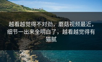 越看越觉得不对劲，蘑菇视频最近，细节一出来全明白了，越看越觉得有猫腻