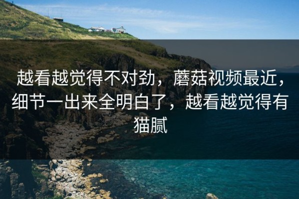 越看越觉得不对劲，蘑菇视频最近，细节一出来全明白了，越看越觉得有猫腻