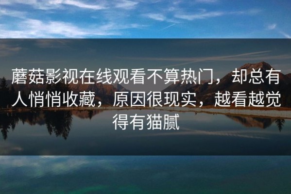 蘑菇影视在线观看不算热门，却总有人悄悄收藏，原因很现实，越看越觉得有猫腻