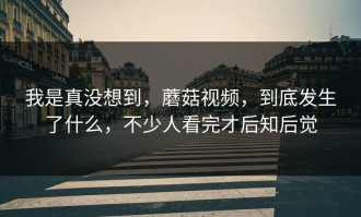 我是真没想到，蘑菇视频，到底发生了什么，不少人看完才后知后觉