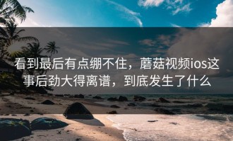 看到最后有点绷不住，蘑菇视频ios这事后劲大得离谱，到底发生了什么