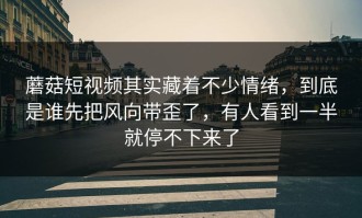 蘑菇短视频其实藏着不少情绪，到底是谁先把风向带歪了，有人看到一半就停不下来了