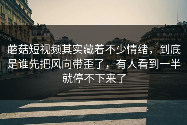 蘑菇短视频其实藏着不少情绪，到底是谁先把风向带歪了，有人看到一半就停不下来了