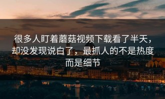 很多人盯着蘑菇视频下载看了半天，却没发现说白了，最抓人的不是热度而是细节