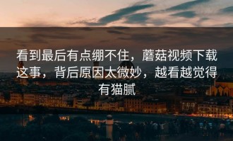 看到最后有点绷不住，蘑菇视频下载这事，背后原因太微妙，越看越觉得有猫腻