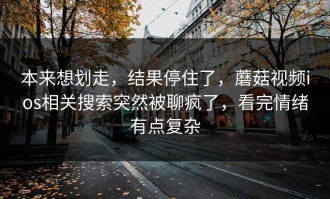 本来想划走，结果停住了，蘑菇视频ios相关搜索突然被聊疯了，看完情绪有点复杂