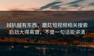 越扒越有东西，蘑菇短视频相关搜索后劲大得离谱，不是一句话能讲清