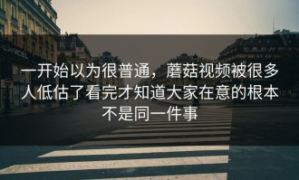 一开始以为很普通，蘑菇视频被很多人低估了看完才知道大家在意的根本不是同一件事