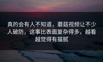 真的会有人不知道，蘑菇视频让不少人破防，这事比表面复杂得多，越看越觉得有猫腻