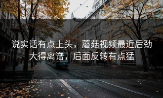 说实话有点上头，蘑菇视频最近后劲大得离谱，后面反转有点猛