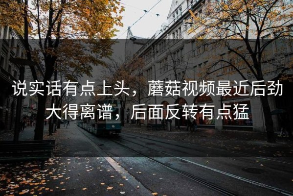 说实话有点上头，蘑菇视频最近后劲大得离谱，后面反转有点猛