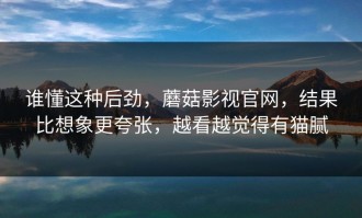 谁懂这种后劲，蘑菇影视官网，结果比想象更夸张，越看越觉得有猫腻