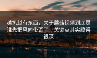 越扒越有东西，关于蘑菇视频到底是谁先把风向带歪了，关键点其实藏得很深