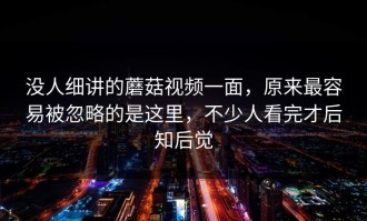 没人细讲的蘑菇视频一面，原来最容易被忽略的是这里，不少人看完才后知后觉