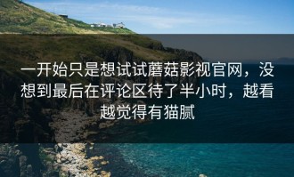 一开始只是想试试蘑菇影视官网，没想到最后在评论区待了半小时，越看越觉得有猫腻