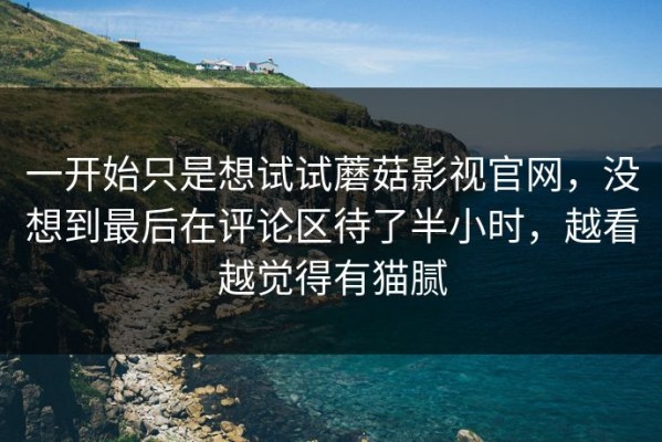 一开始只是想试试蘑菇影视官网，没想到最后在评论区待了半小时，越看越觉得有猫腻