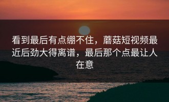 看到最后有点绷不住，蘑菇短视频最近后劲大得离谱，最后那个点最让人在意