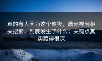 真的有人因为这个熬夜，蘑菇视频相关搜索，到底发生了什么，关键点其实藏得很深