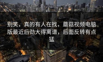 别笑，真的有人在找，蘑菇视频电脑版最近后劲大得离谱，后面反转有点猛