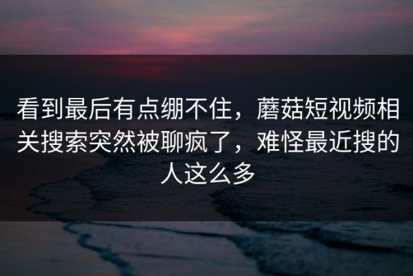 看到最后有点绷不住，蘑菇短视频相关搜索突然被聊疯了，难怪最近搜的人这么多