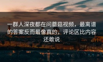 一群人深夜都在问蘑菇视频，最离谱的答案反而最像真的，评论区比内容还敢说