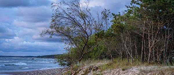 一夜之间有人聊起每日大赛官网，老用户开始疯狂追问