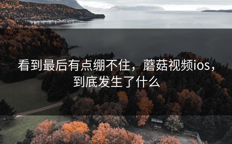 看到最后有点绷不住，蘑菇视频ios，到底发生了什么