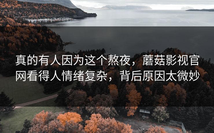 真的有人因为这个熬夜，蘑菇影视官网看得人情绪复杂，背后原因太微妙