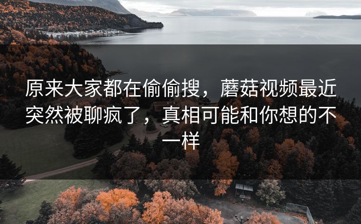 原来大家都在偷偷搜，蘑菇视频最近突然被聊疯了，真相可能和你想的不一样