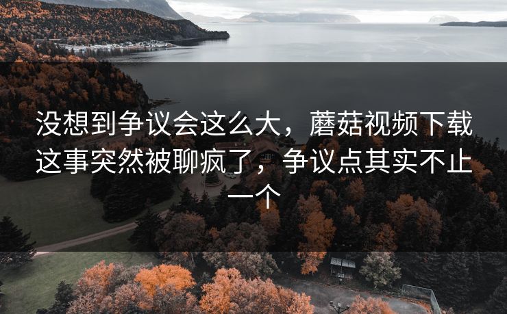 没想到争议会这么大，蘑菇视频下载这事突然被聊疯了，争议点其实不止一个
