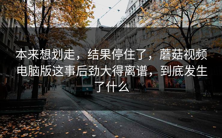 本来想划走，结果停住了，蘑菇视频电脑版这事后劲大得离谱，到底发生了什么