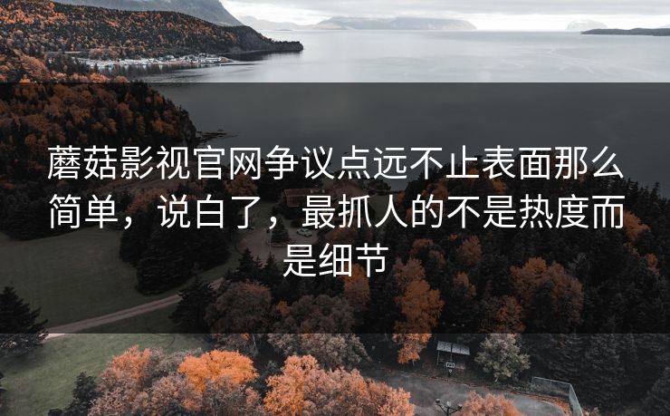 蘑菇影视官网争议点远不止表面那么简单，说白了，最抓人的不是热度而是细节