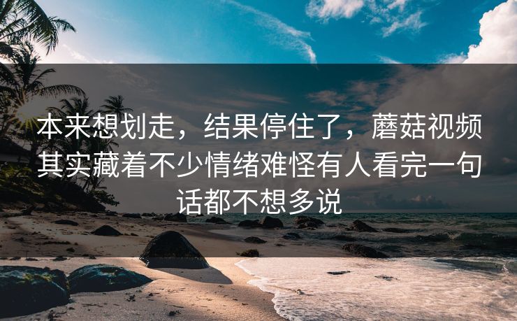 本来想划走,结果停住了,蘑菇视频其实藏着不少情绪难怪有人看完一句话都不想多说 本来想划走,结果停住了,蘑菇视频其实藏着不少情绪难怪有人看完一句话都不想多说