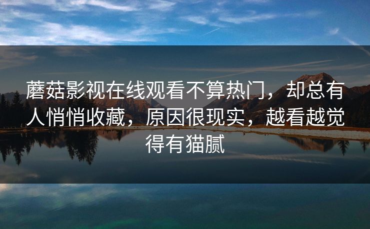 蘑菇影视在线观看不算热门,却总有人悄悄收藏,原因很现实,越看越觉得有猫腻 蘑菇影视在线观看不算热门,却总有人悄悄收藏,原因很现实,越看越觉得有猫腻