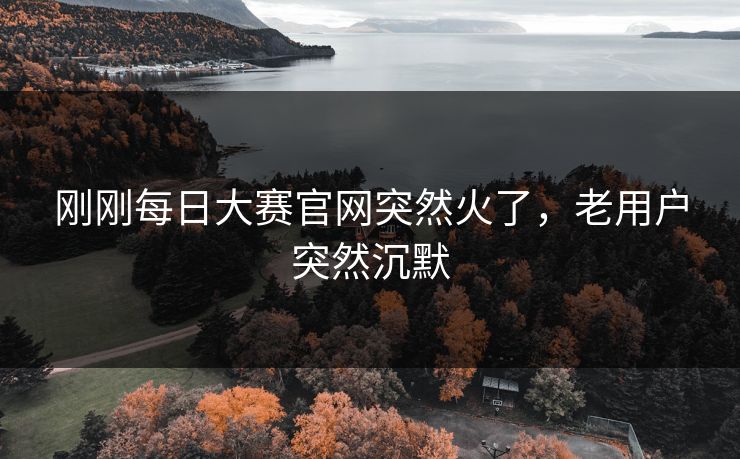 刚刚每日大赛官网突然火了,老用户突然沉默 刚刚每日大赛官网突然火了,老用户突然沉默