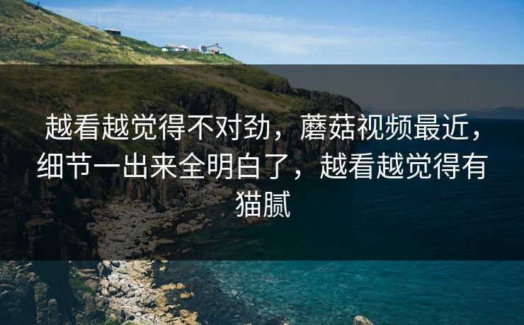 越看越觉得不对劲,蘑菇视频最近,细节一出来全明白了,越看越觉得有猫腻 越看越觉得不对劲,蘑菇视频最近,细节一出来全明白了,越看越觉得有猫腻