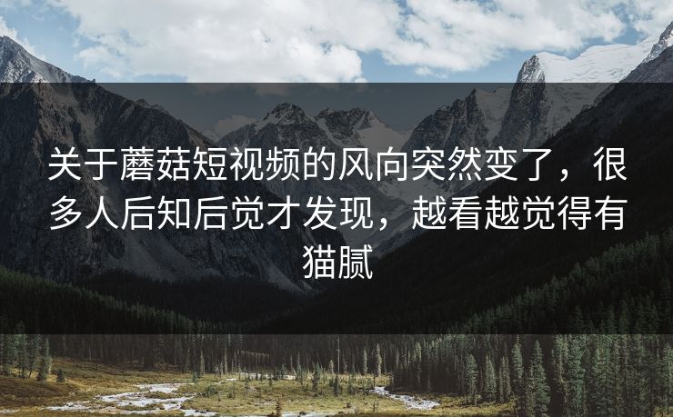 关于蘑菇短视频的风向突然变了,很多人后知后觉才发现,越看越觉得有猫腻 关于蘑菇短视频的风向突然变了,很多人后知后觉才发现,越看越觉得有猫腻